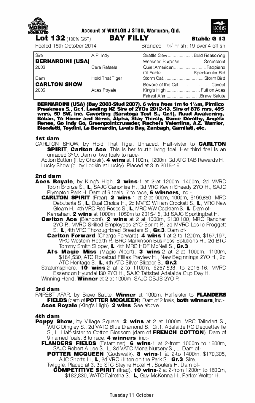 Bernardini (USA) / Carlton Show (AUS) - pedigree