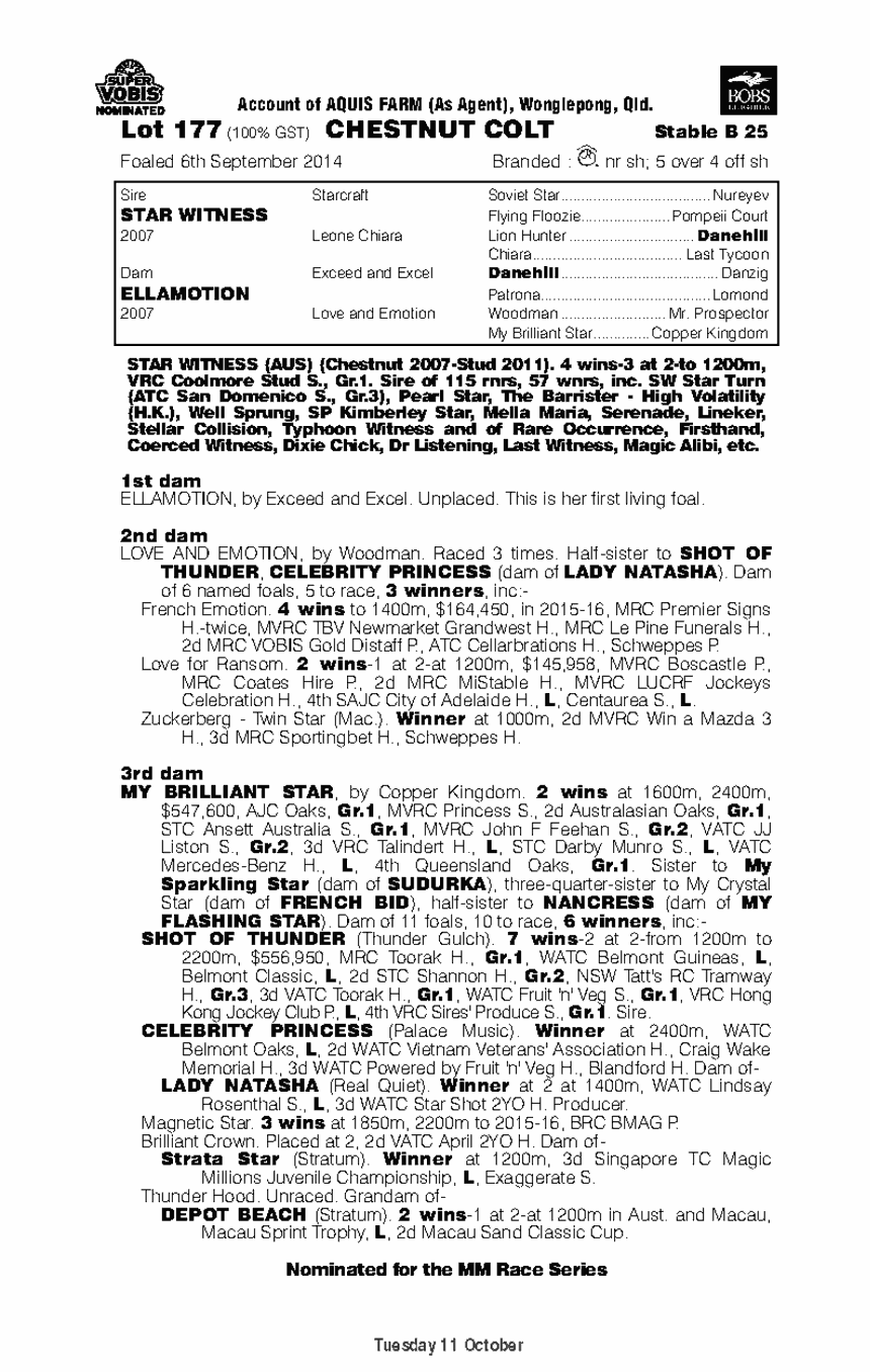 Star Witness (AUS) / Ellamotion (AUS) - pedigree