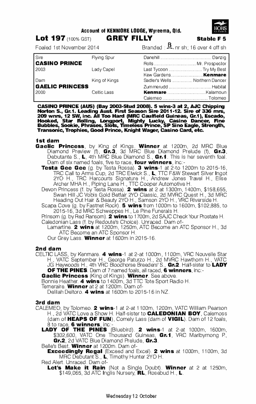 Casino Prince (AUS) / Gaelic Princess (AUS) - pedigree