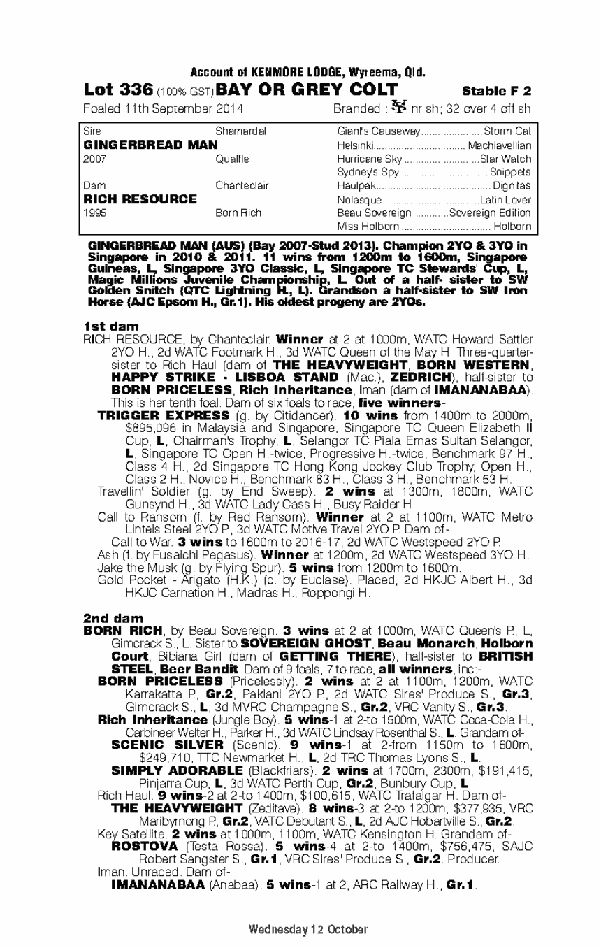 Gingerbread Man (AUS) / Rich Resource (AUS) - pedigree