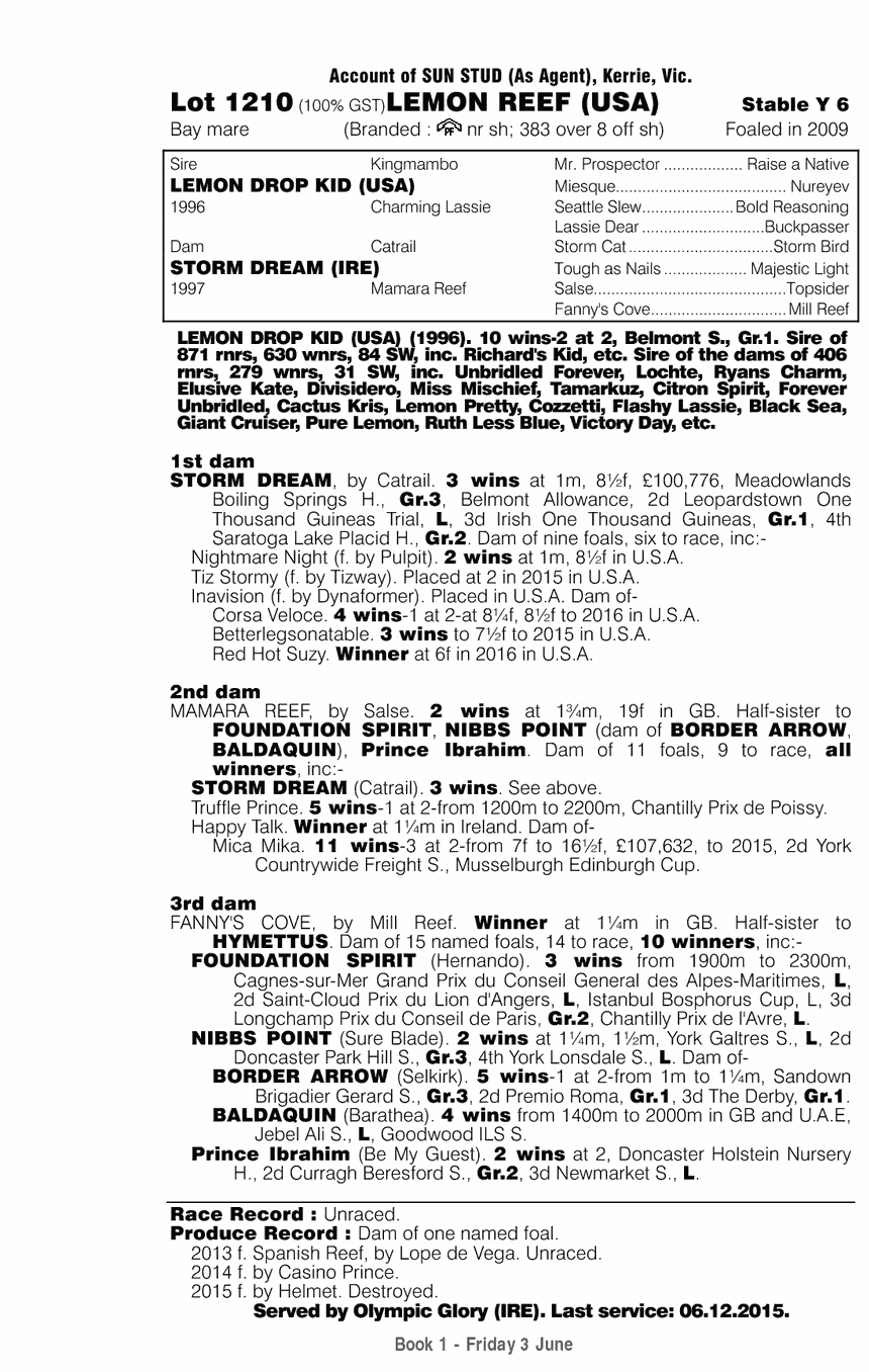 Lemon Reef (USA) - pedigree