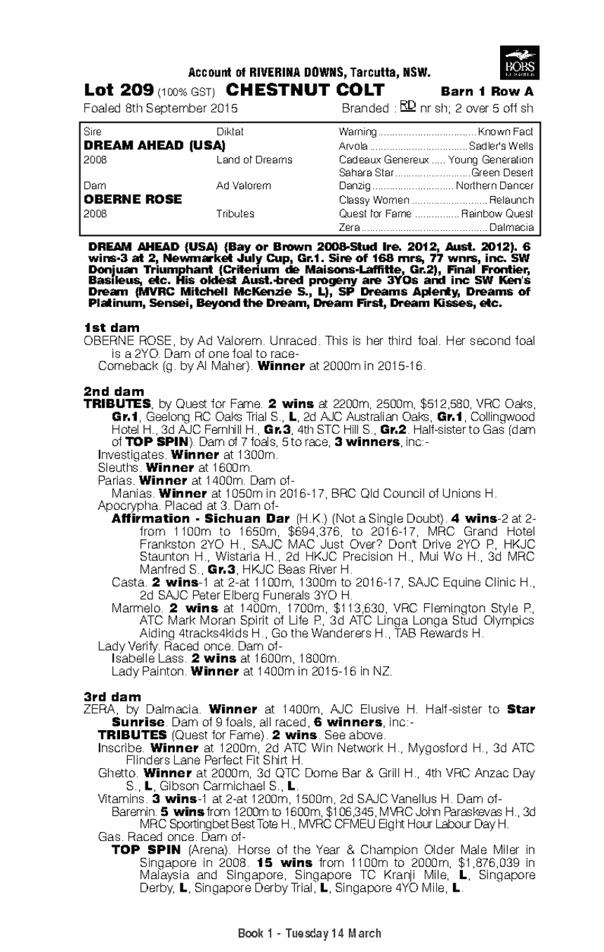 Dream Ahead (USA) / Oberne Rose (AUS) - pedigree