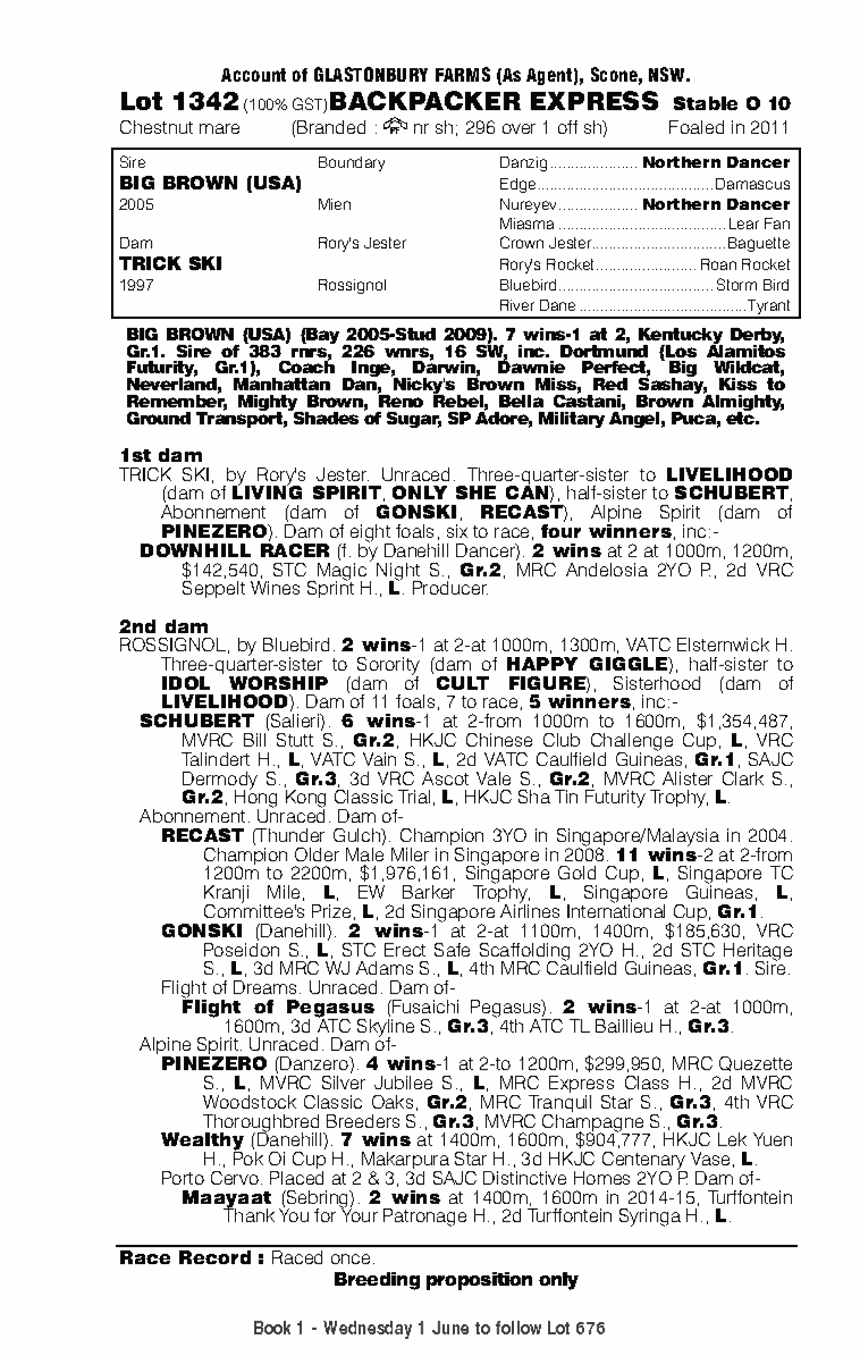 Backpacker Express (AUS) - pedigree