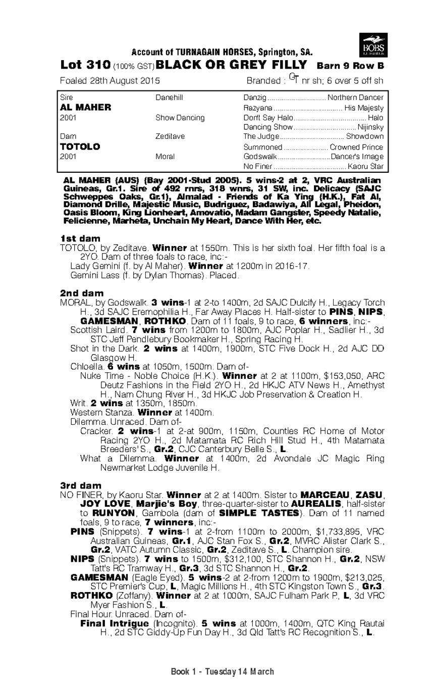 Al Maher (AUS) / Totolo (AUS) - pedigree