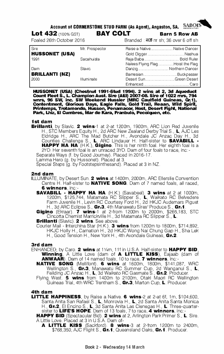 Hussonet (USA) / Brillanti (NZ) - pedigree