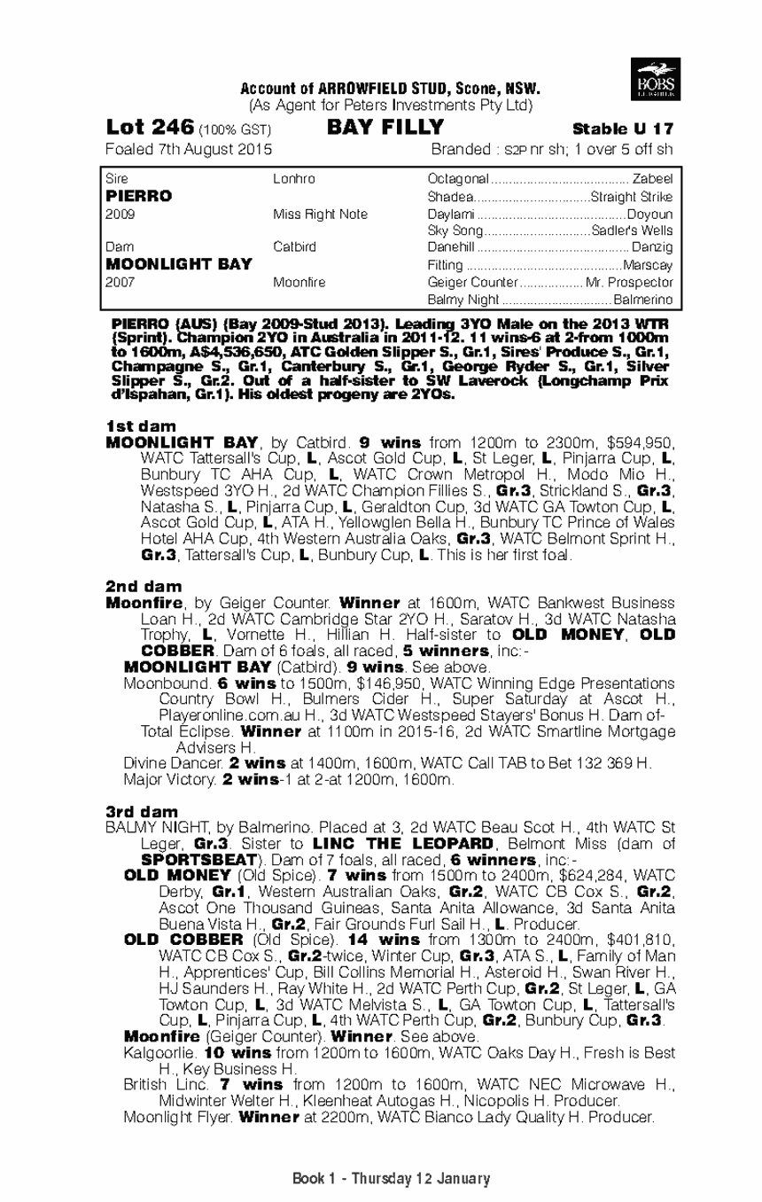 Pierro (AUS) / Moonlight Bay (AUS) - pedigree