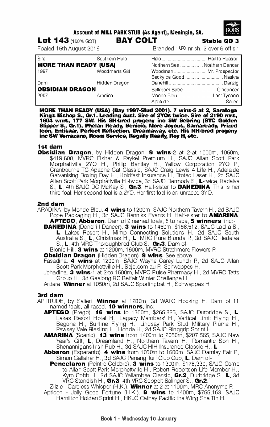 More Than Ready (USA) / Obsidian Dragon (AUS) - pedigree
