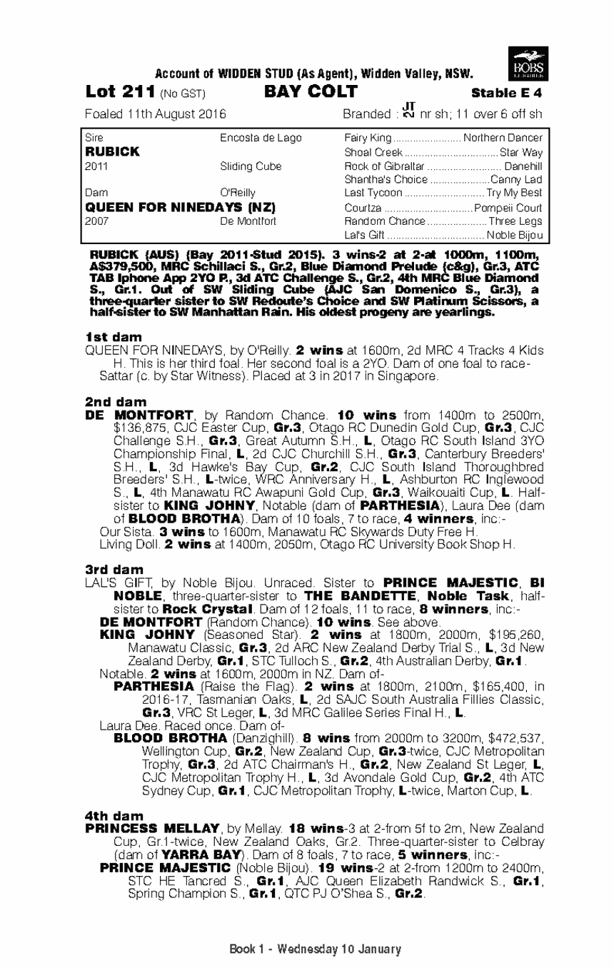 Rubick (AUS) / Queen for Ninedays (NZ) - pedigree