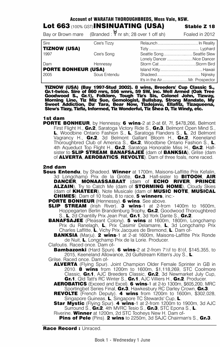 Insinuating (USA) - pedigree