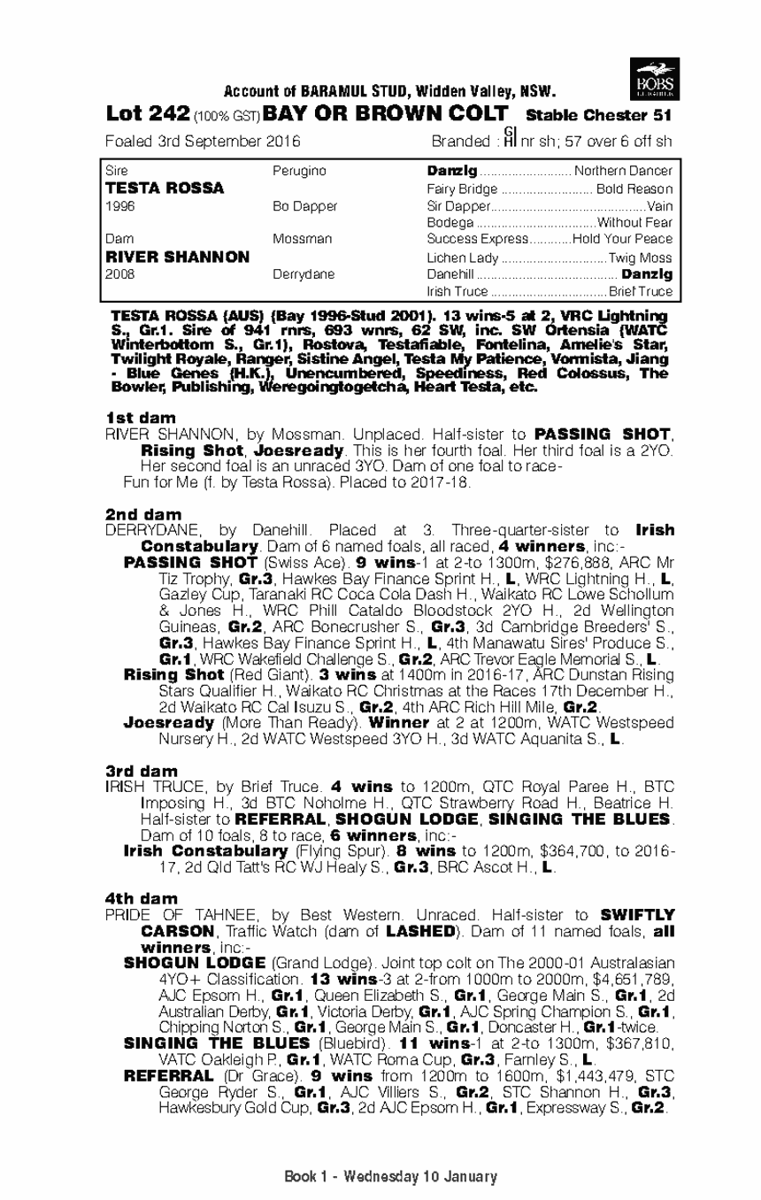 Testa Rossa (AUS) / River Shannon (AUS) - pedigree