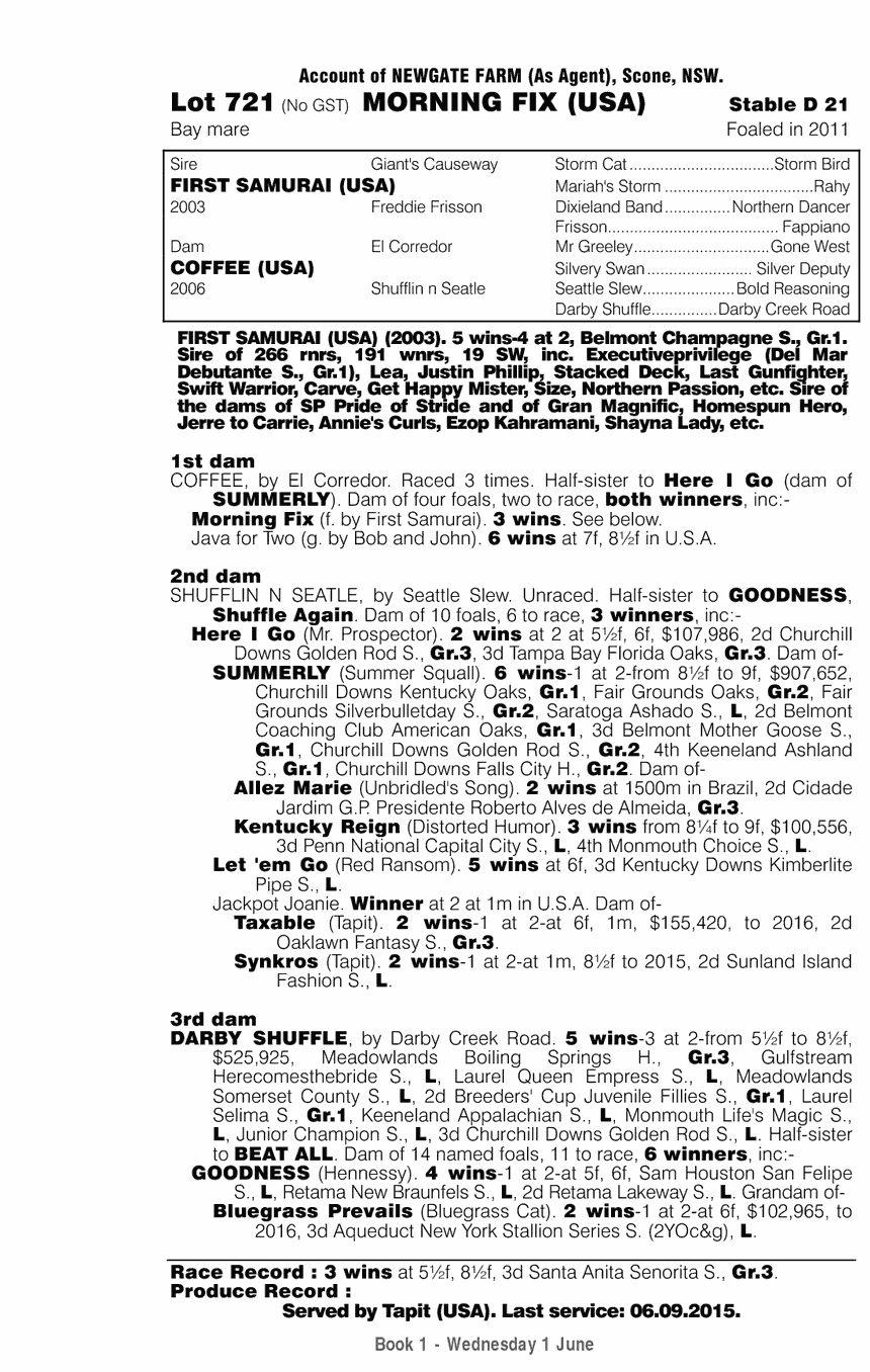 Morning Fix (USA) - pedigree