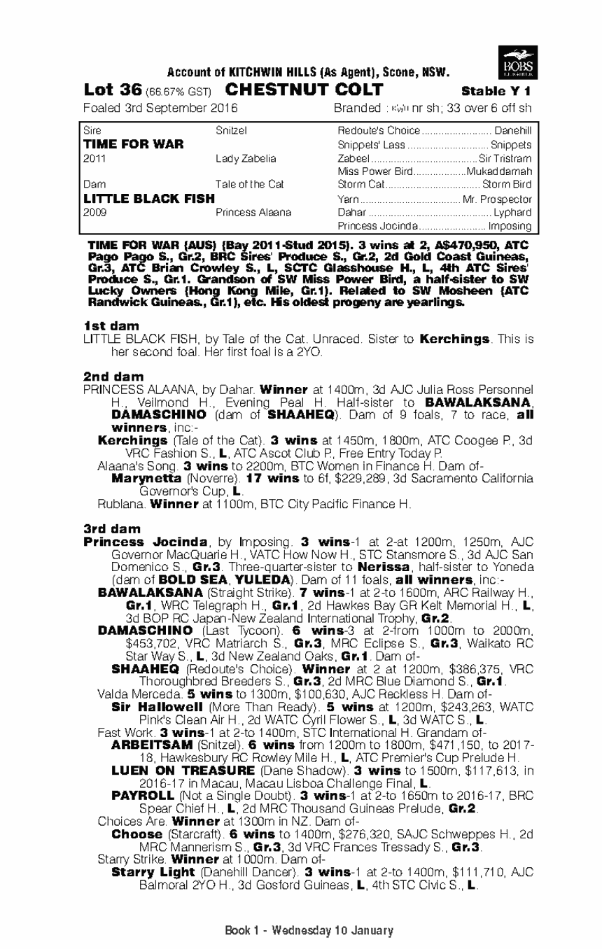 Time for War (AUS) / Little Black Fish (AUS) - pedigree