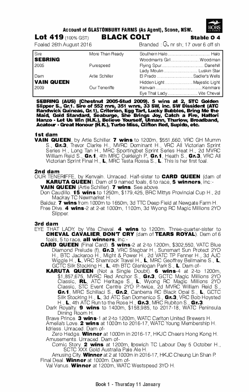 Sebring (AUS) / Vain Queen (AUS) - pedigree