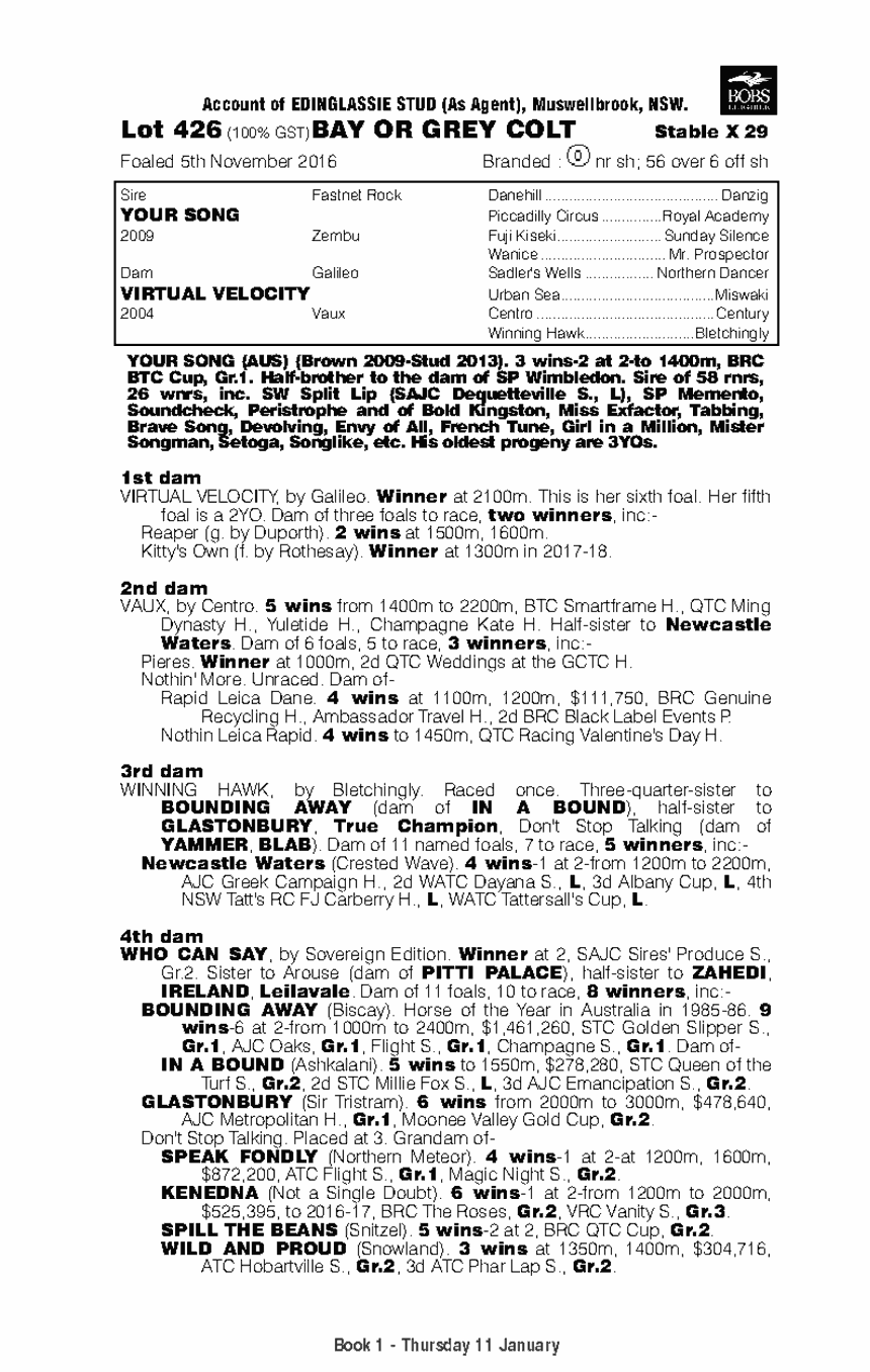 Your Song (AUS) / Virtual Velocity (AUS) - pedigree