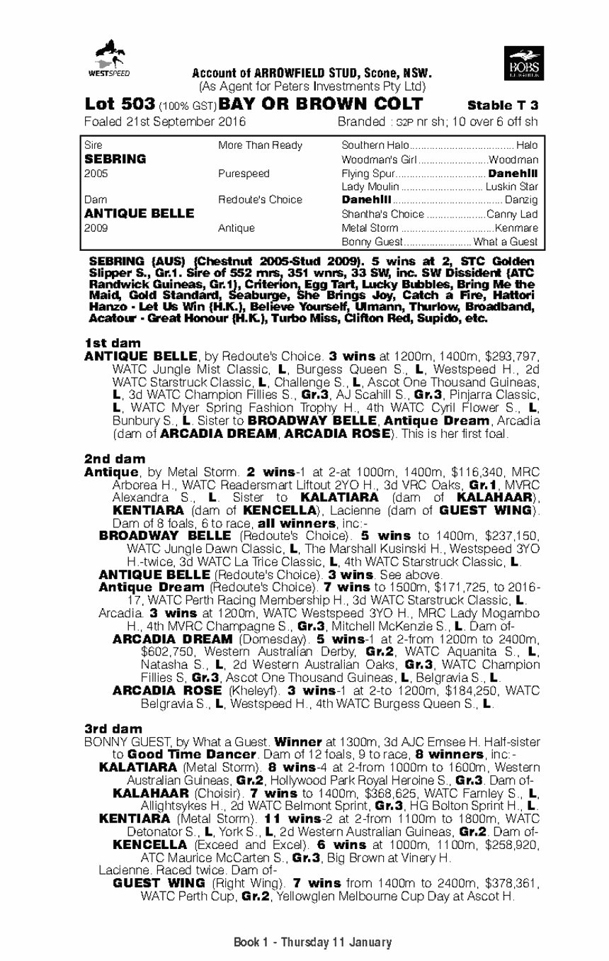 Sebring (AUS) / Antique Belle (AUS) - pedigree