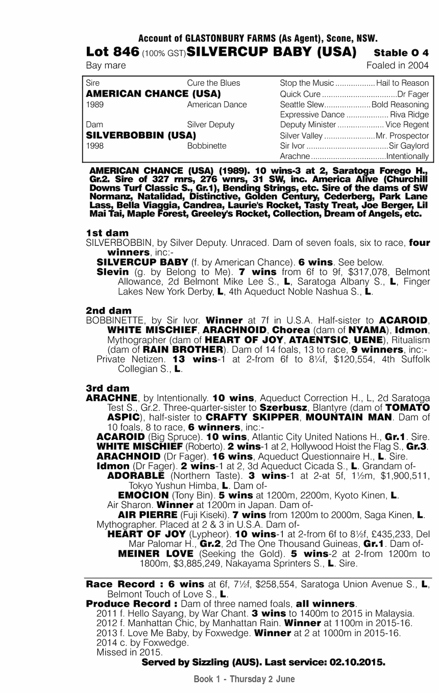 Silvercup Baby (USA) - pedigree