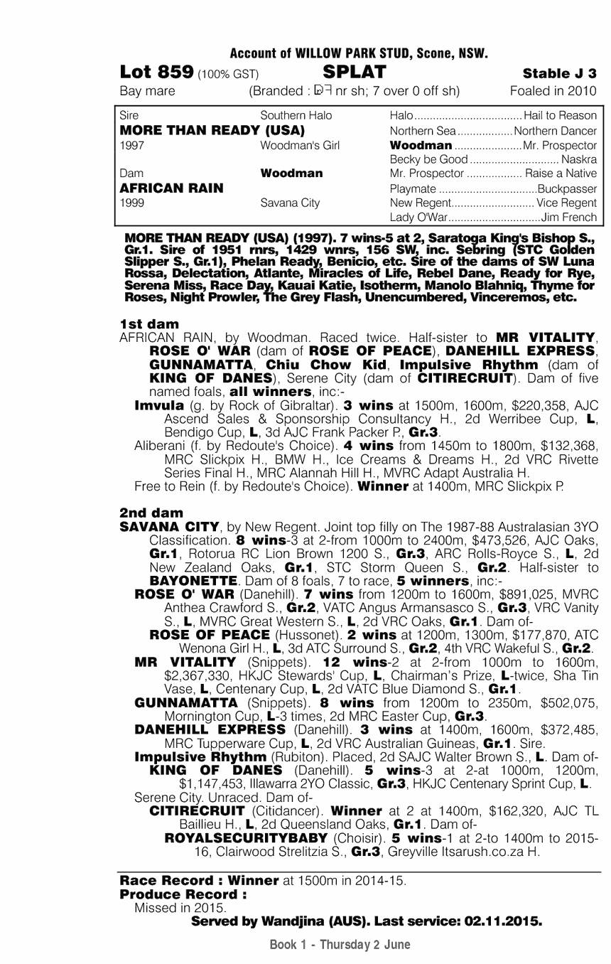 Splat (AUS) - pedigree