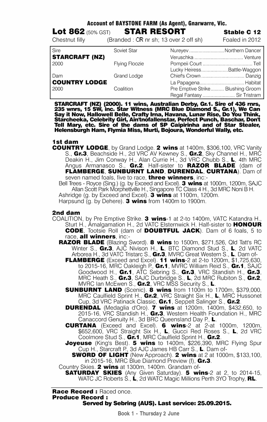 Star Resort (AUS) - pedigree