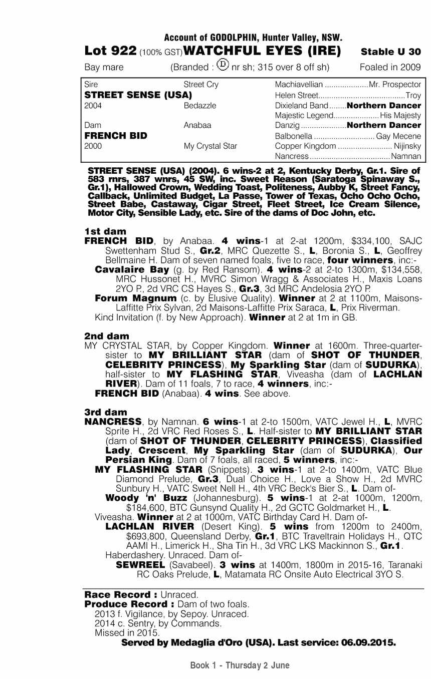 Watchful Eyes (IRE) - pedigree