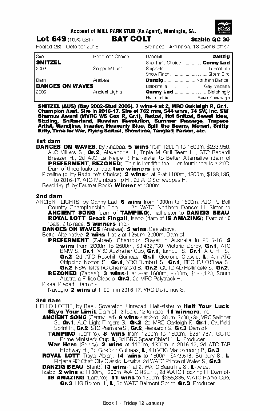 Snitzel (AUS) / Dances on Waves (AUS) - pedigree