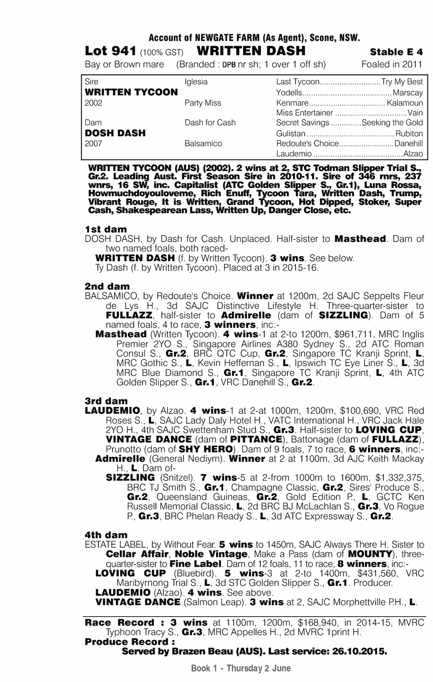 Written Dash (AUS) - pedigree