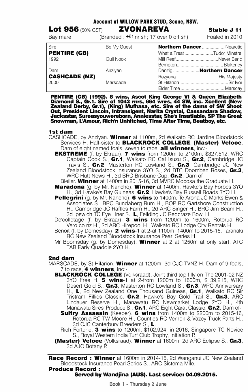 Zvonareva (AUS) - pedigree