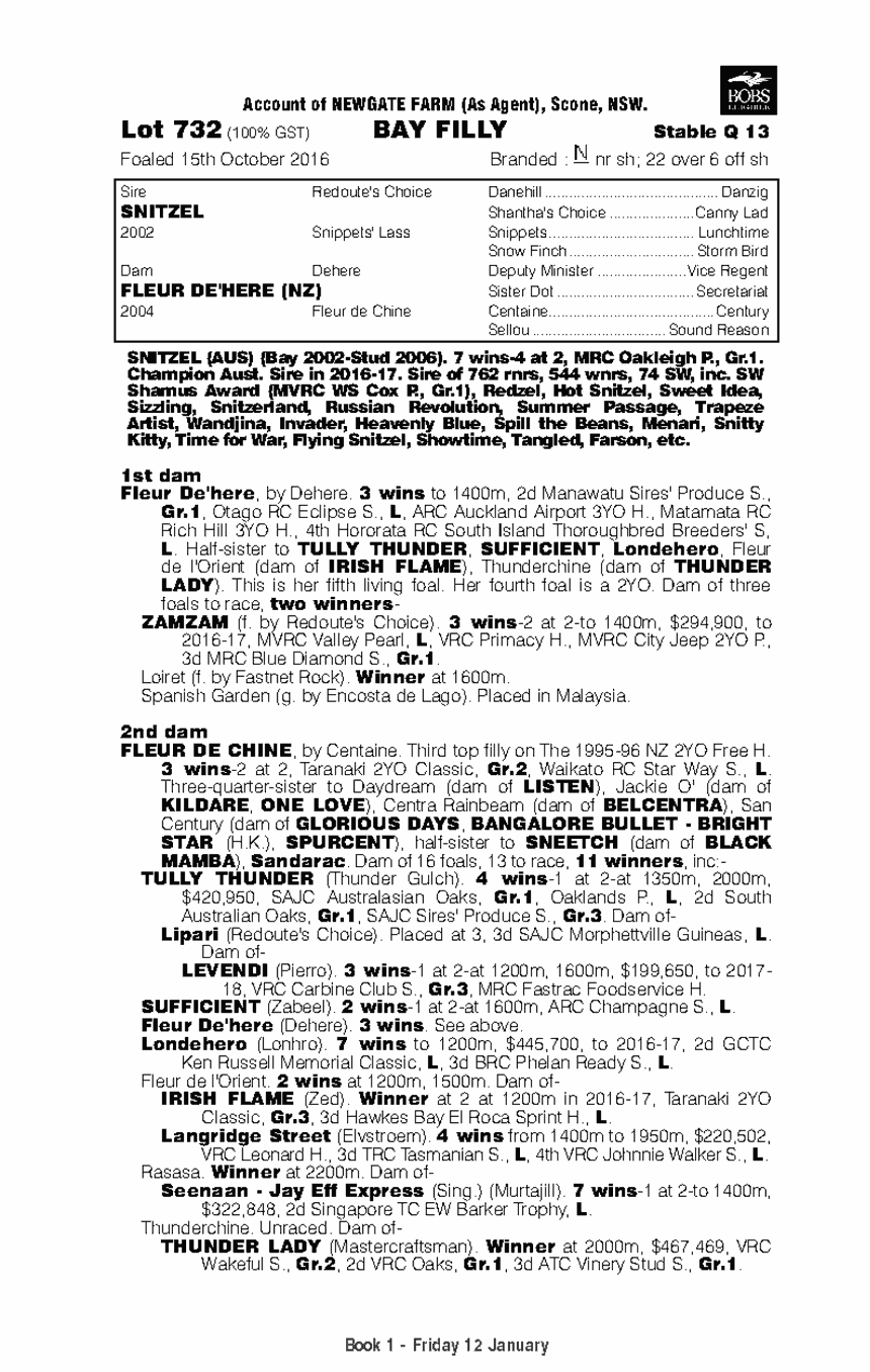 Snitzel (AUS) / Fleur De'here (NZ) - pedigree