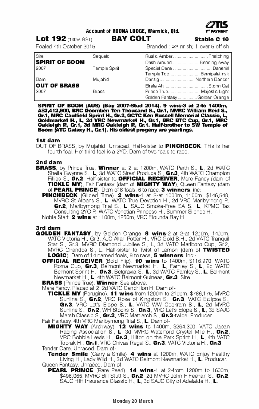Spirit of Boom (AUS) / Out of Brass (AUS) - pedigree