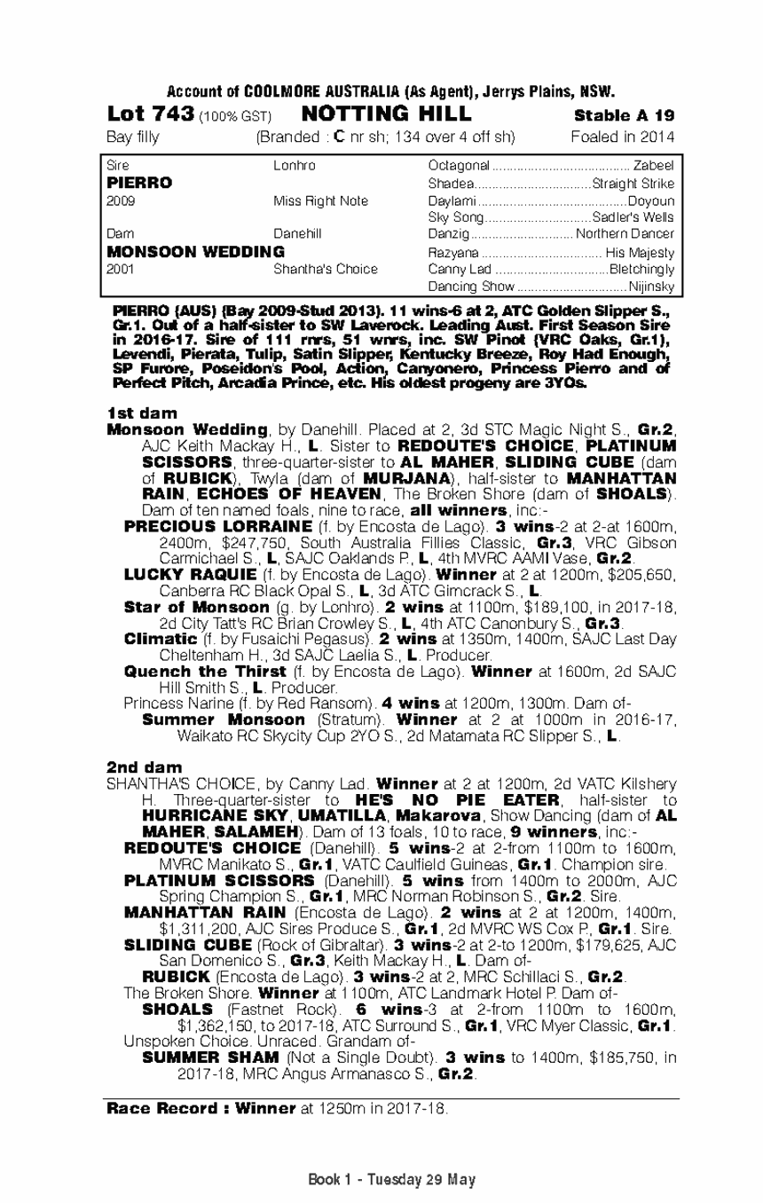 Notting Hill (AUS) - pedigree