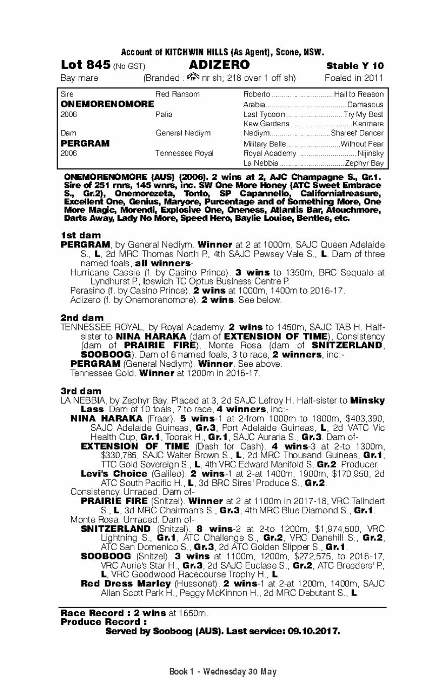 Adizero (AUS) - pedigree