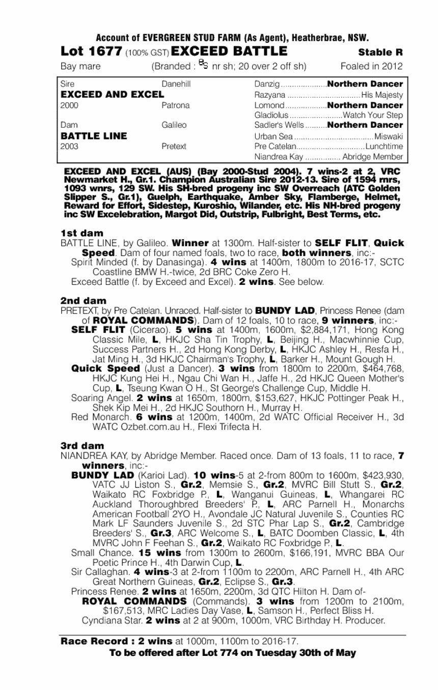 Exceed Battle (AUS) - pedigree