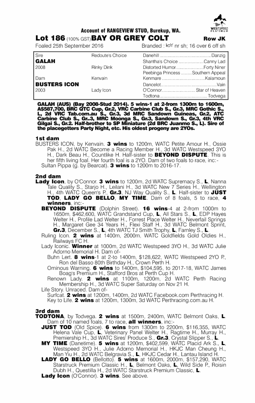 Galah (AUS) / Busters Icon (AUS) - pedigree