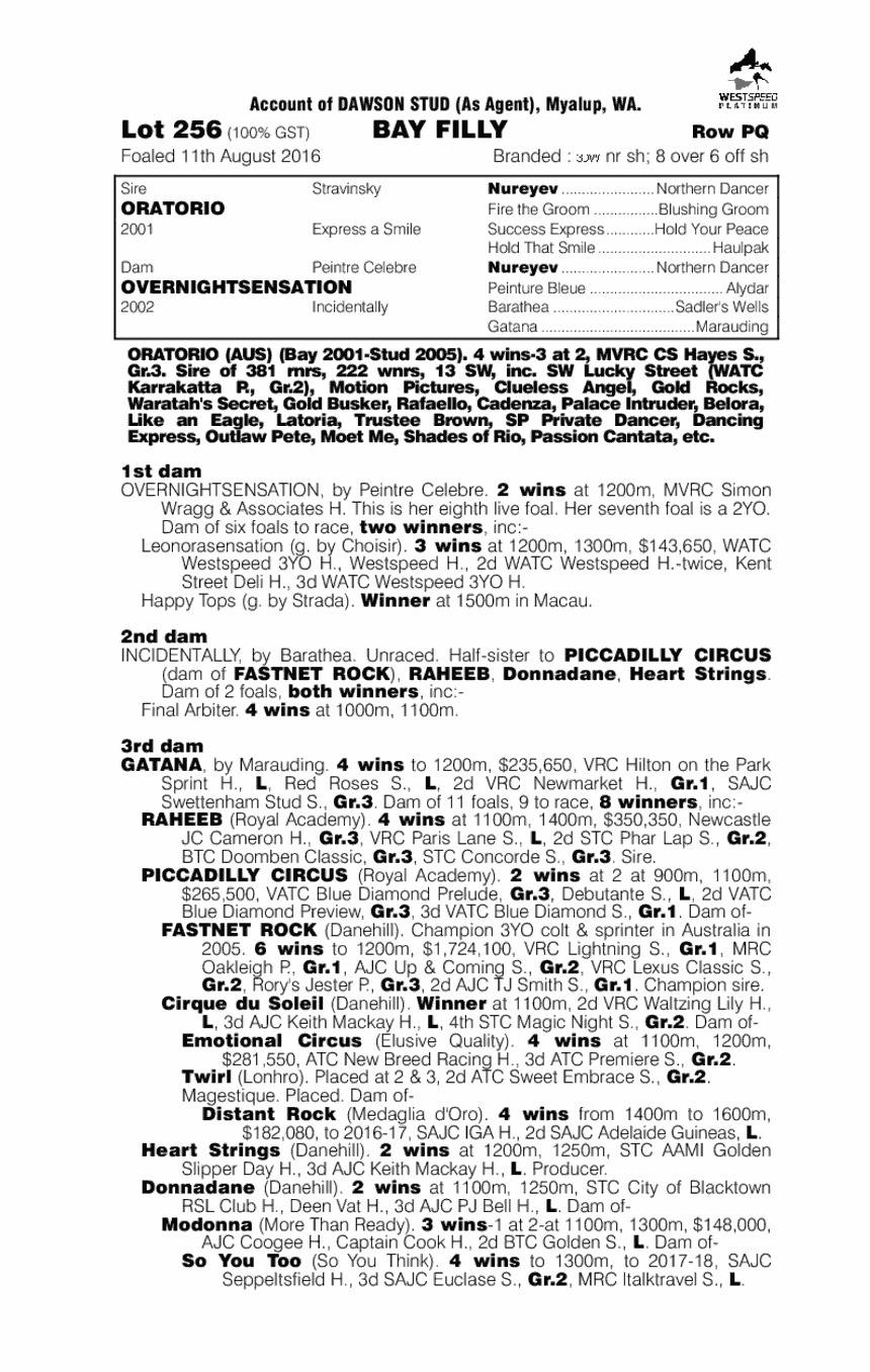 Oratorio (AUS) / Overnightsensation (AUS) - pedigree