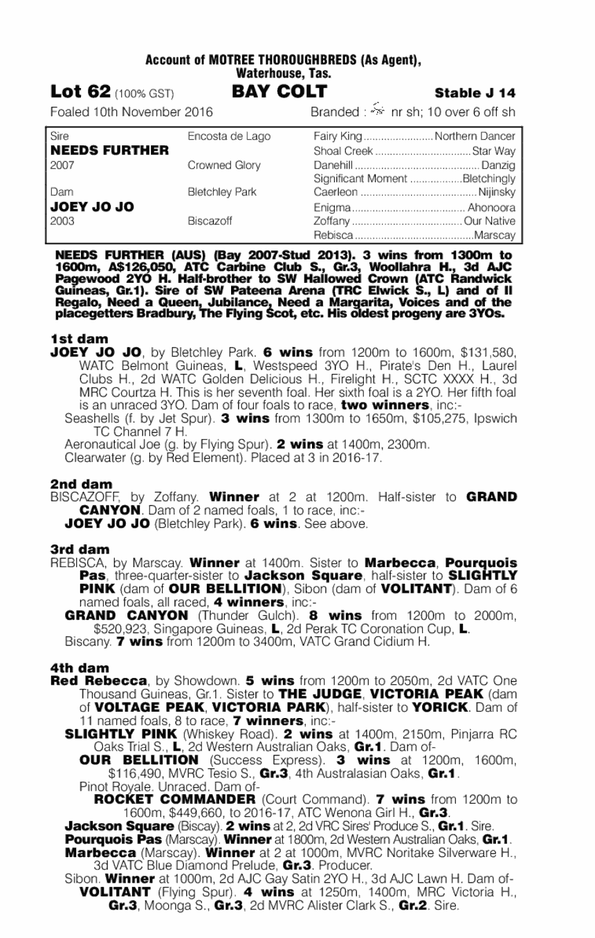 Needs Further (AUS) / Joey Jo Jo (AUS) - pedigree