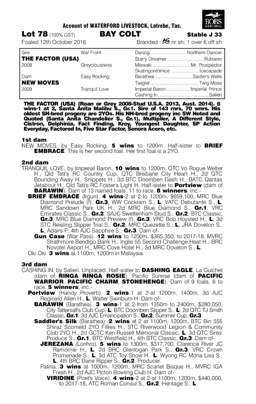 The Factor (USA) / New Moves (AUS) - pedigree