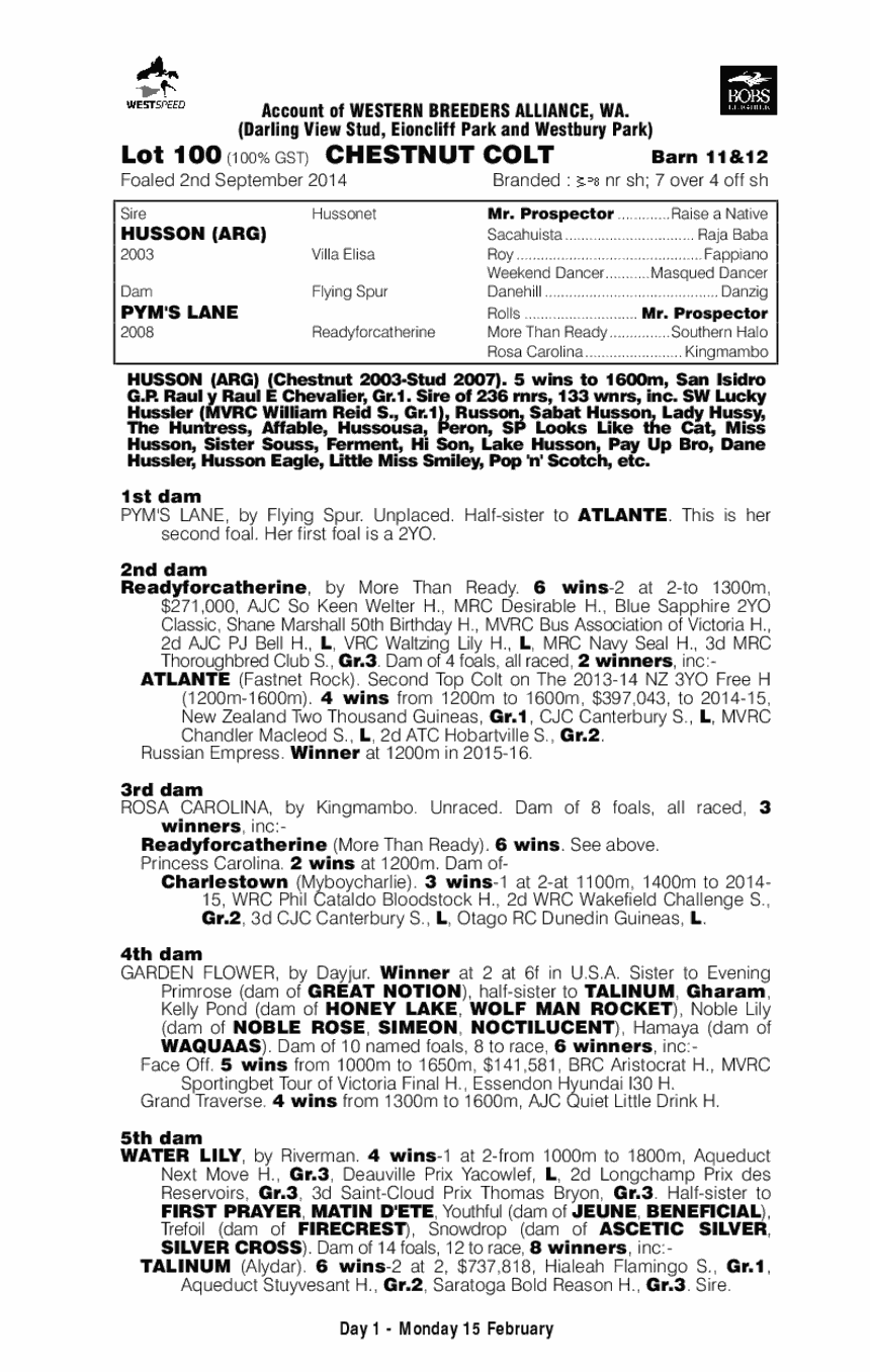 Husson (ARG) / Pym's Lane (AUS) - pedigree