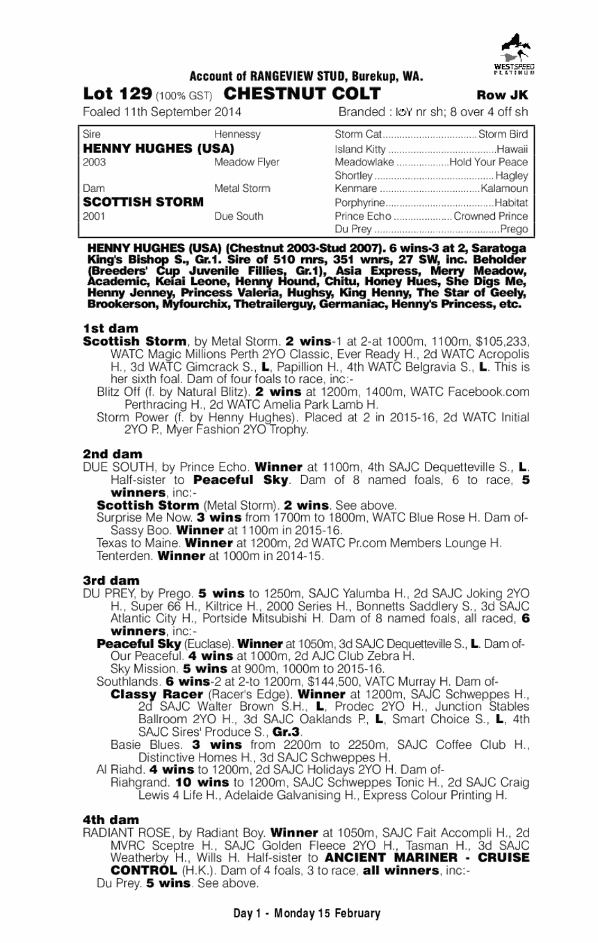 Henny Hughes (USA) / Scottish Storm (AUS) - pedigree
