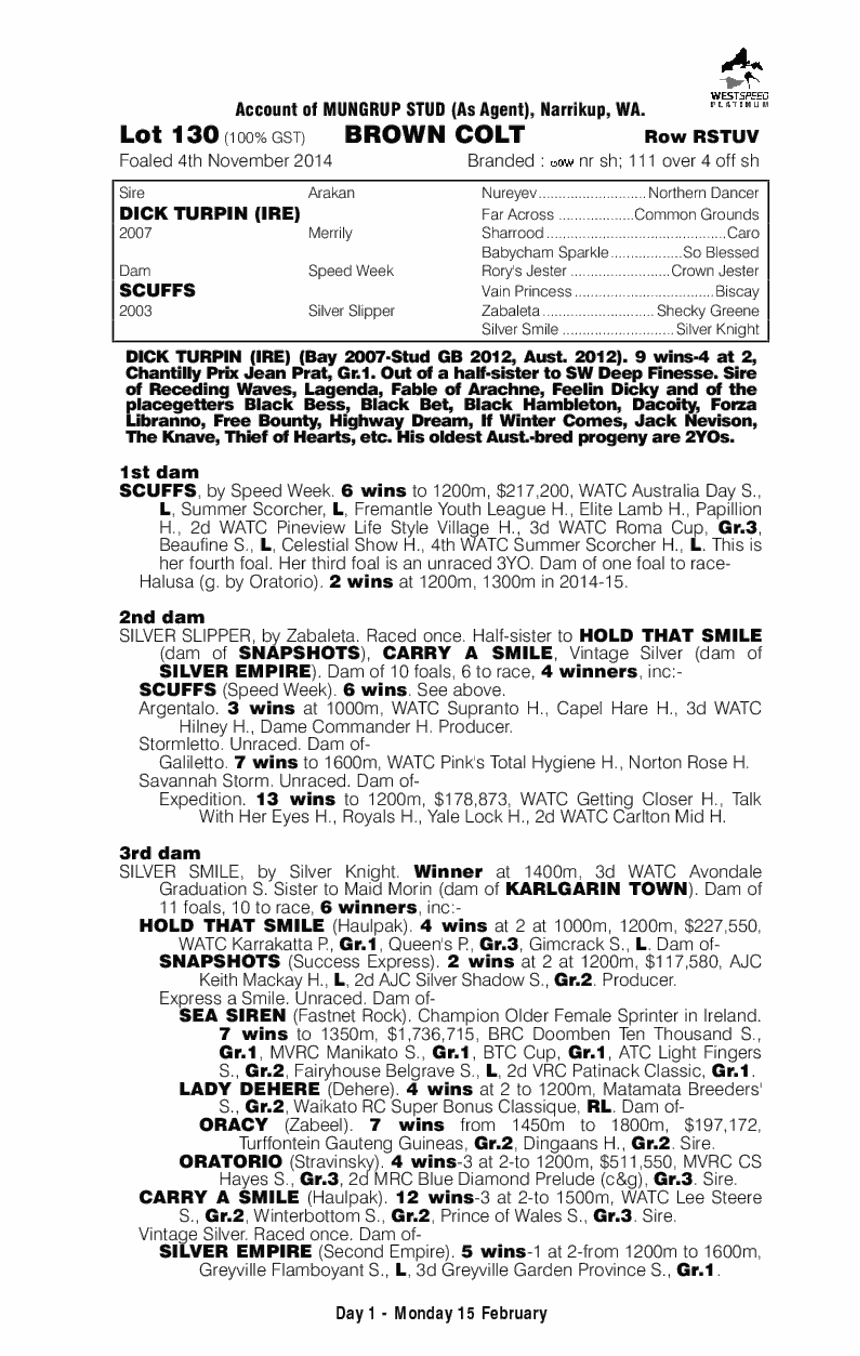 Dick Turpin (IRE) / Scuffs (AUS) - pedigree