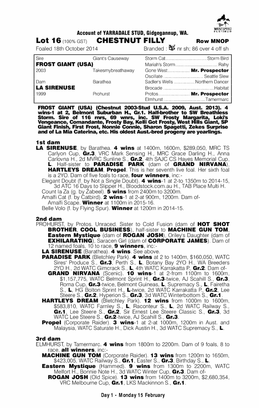 Belle Winter (AUS) - pedigree