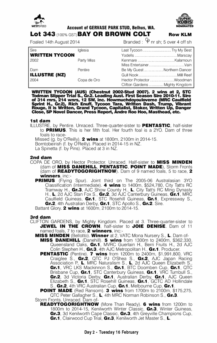 Written Tycoon (AUS) / Illustre (NZ) - pedigree