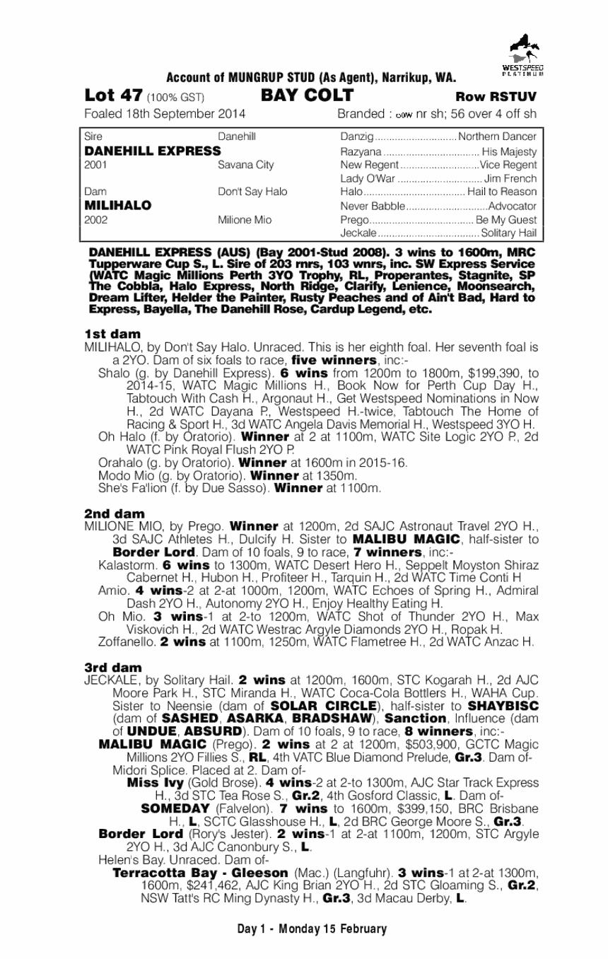 Danehill Express (AUS) / Milihalo (AUS) - pedigree
