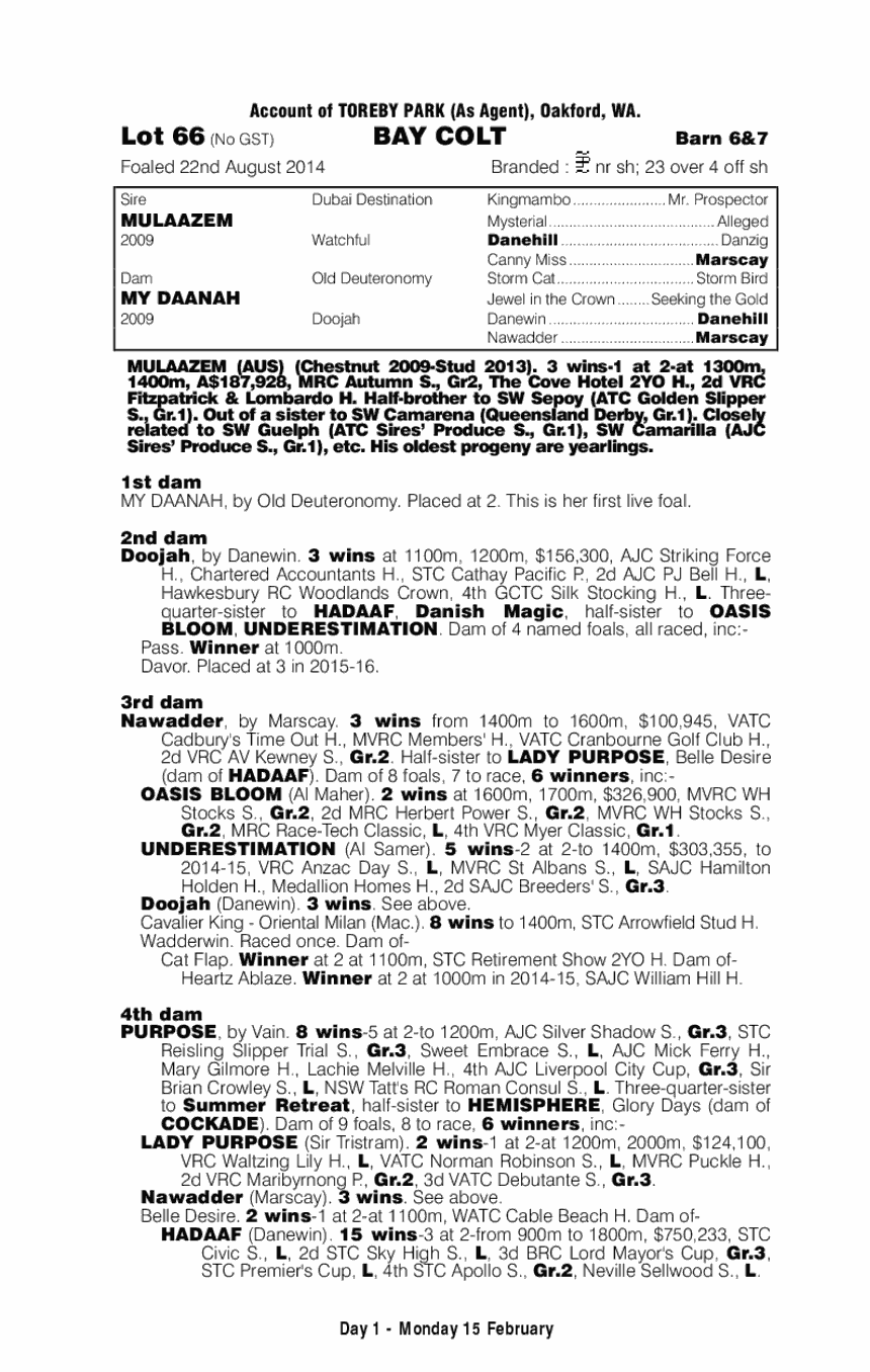 Mulaazem (AUS) / My Daanah (AUS) - pedigree
