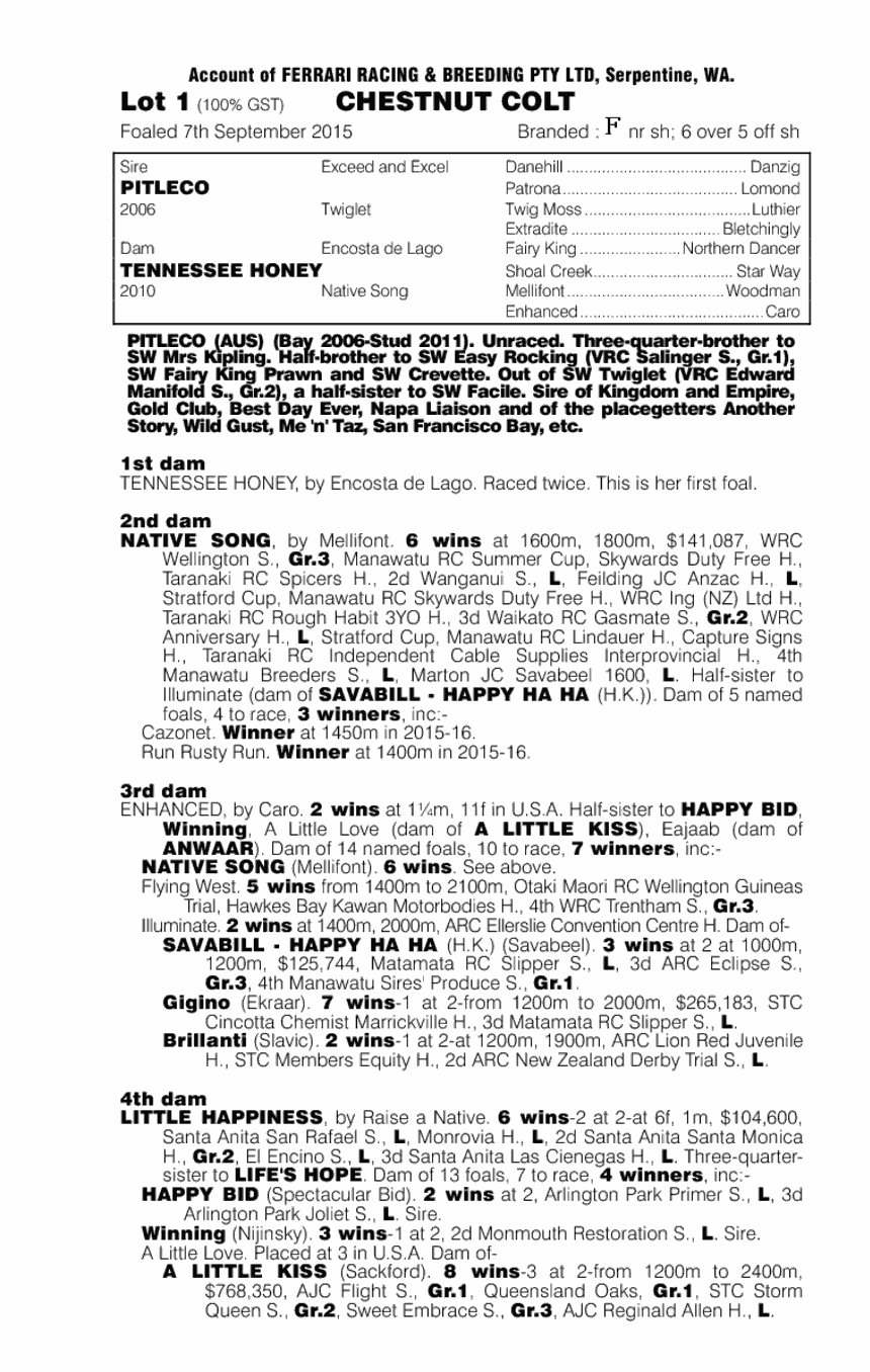 Pitleco (AUS) / Tennessee Honey (AUS) - pedigree