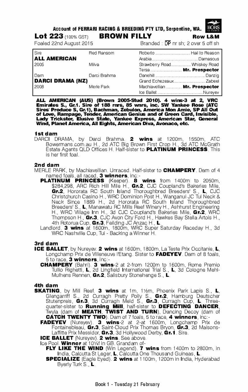 All American (AUS) / Darci Drama (NZ) - pedigree