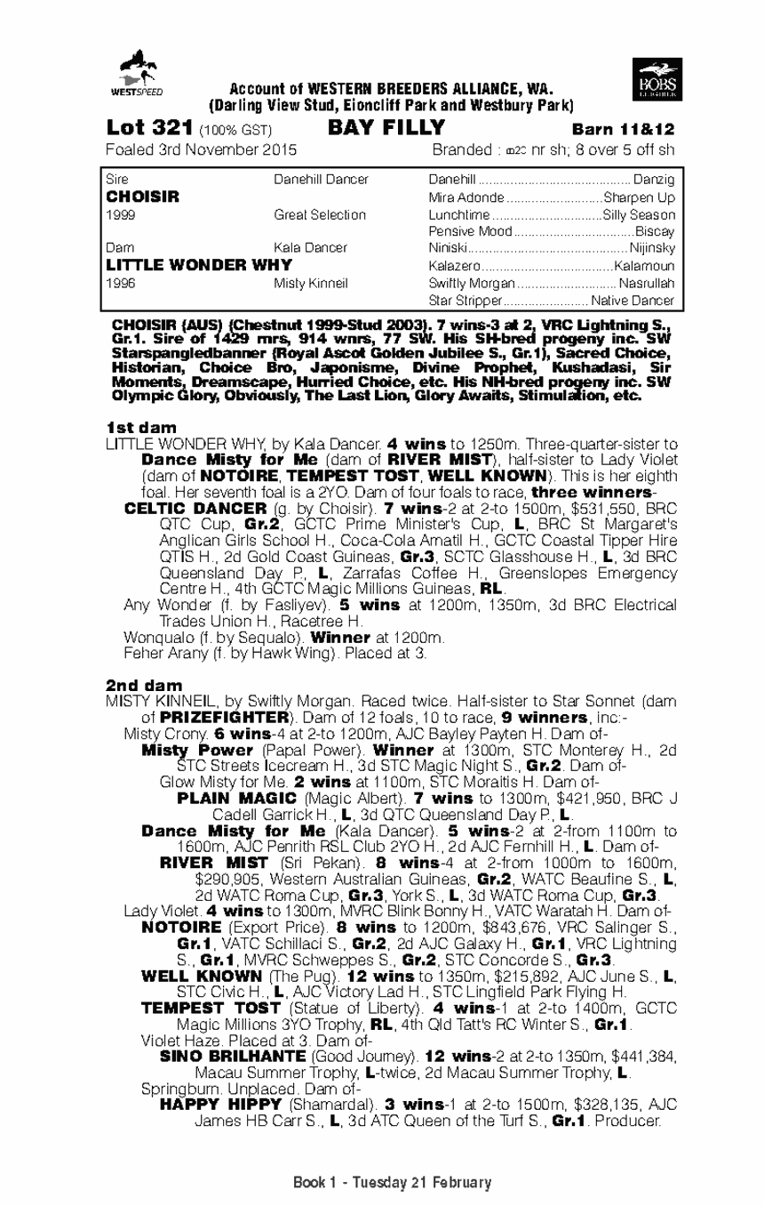 Choisir (AUS) / Little Wonder Why (AUS) - pedigree