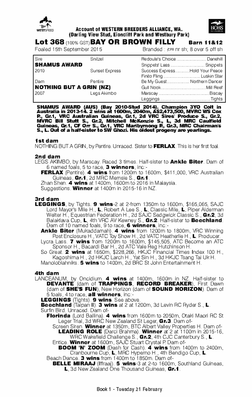 Shamus Award (AUS) / Nothing But A Grin (NZ) - pedigree