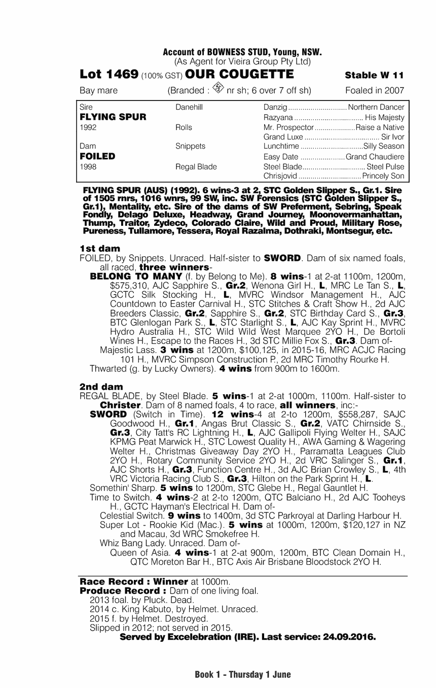 Our Cougette (AUS) - pedigree