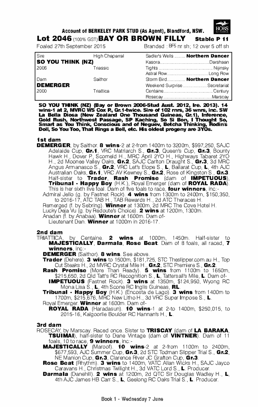 So You Think (NZ) / Demerger (AUS) - pedigree