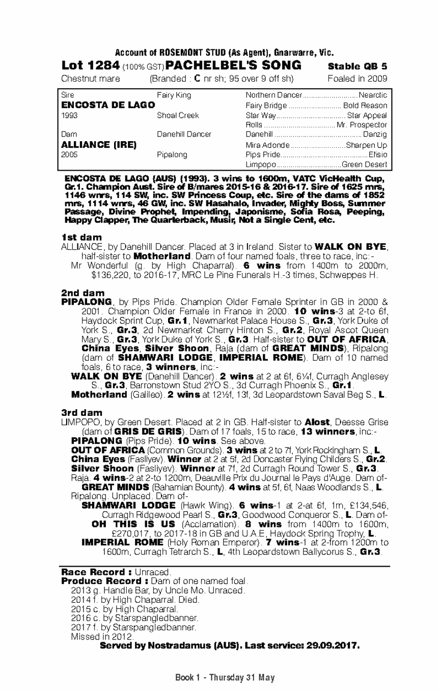 Pachelbel's Song (AUS) - pedigree