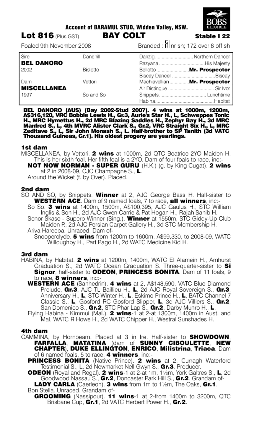 Diamond Match - pedigree